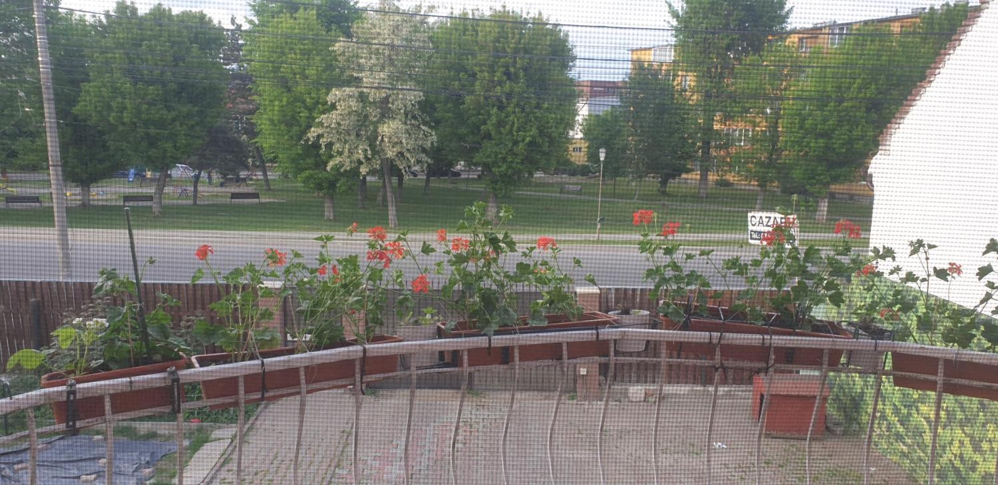 Casa Maia Hotel Турда Екстериор снимка