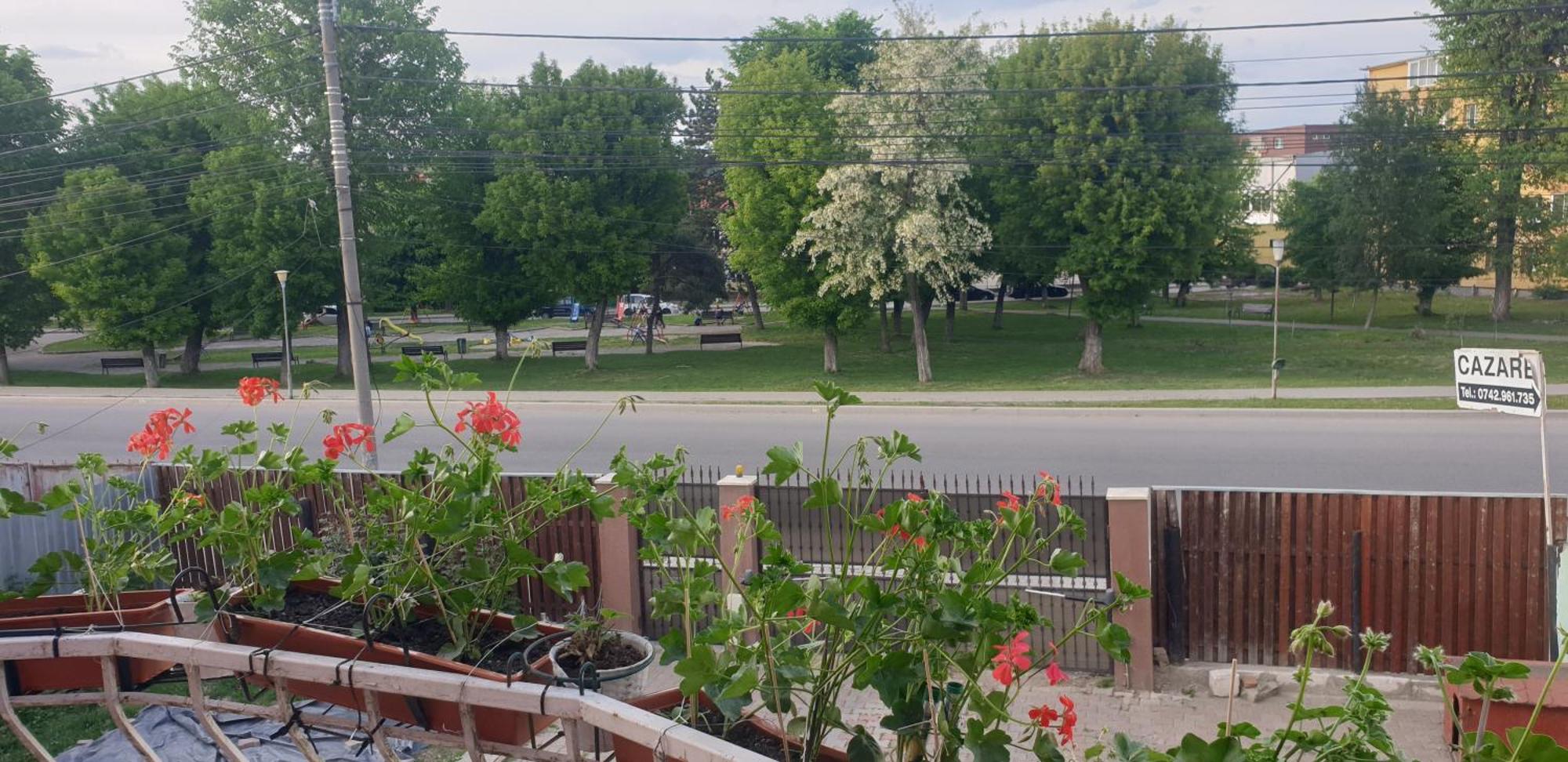 Casa Maia Hotel Турда Екстериор снимка